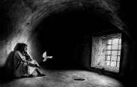 582 - TAKE ME HOME BW - AL MUSHAIFRI ABDULLA - qatar <div